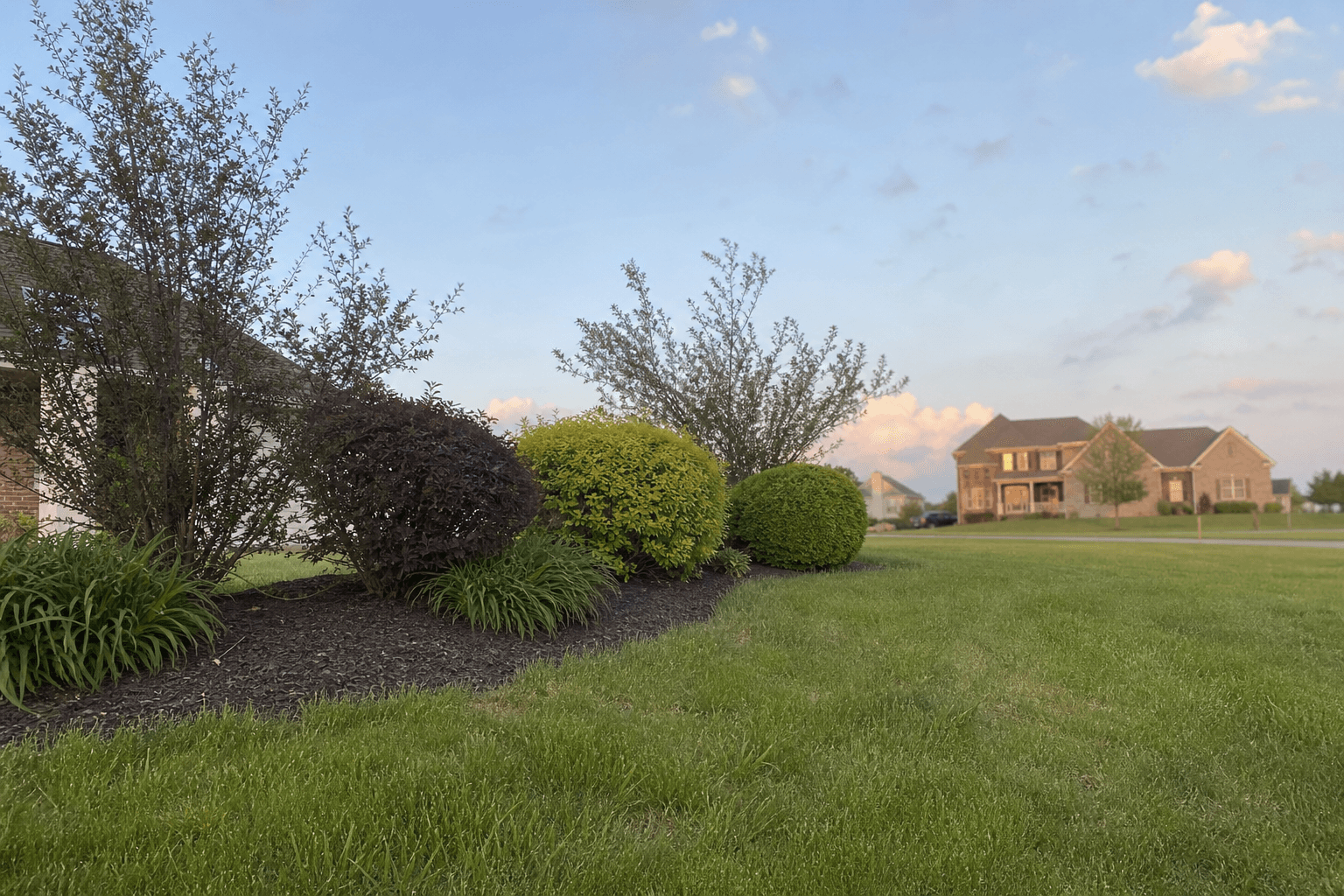 Our Landscaping Services