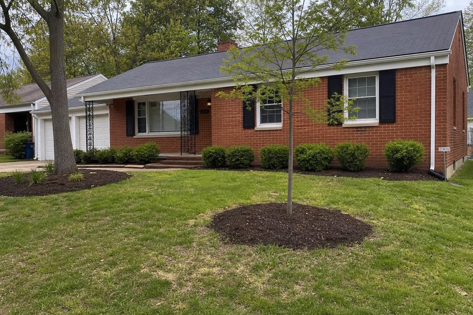 Lexington, KY Landscape Experts