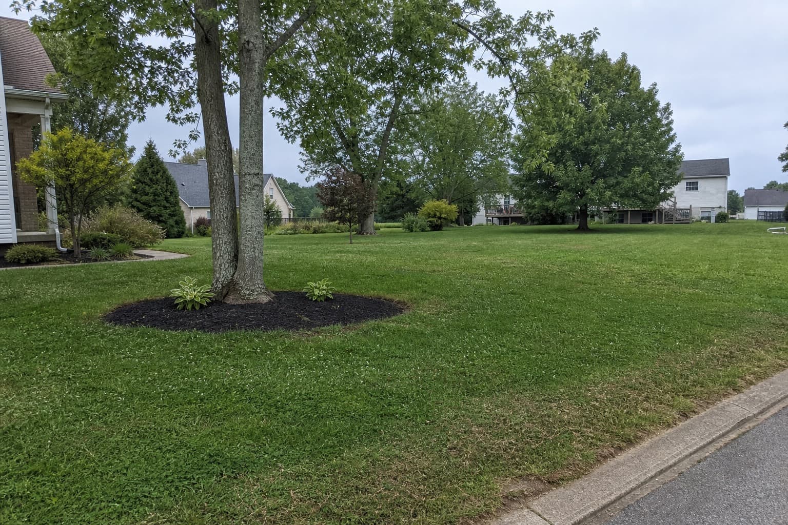 Landscaping Services in Winchester, KY