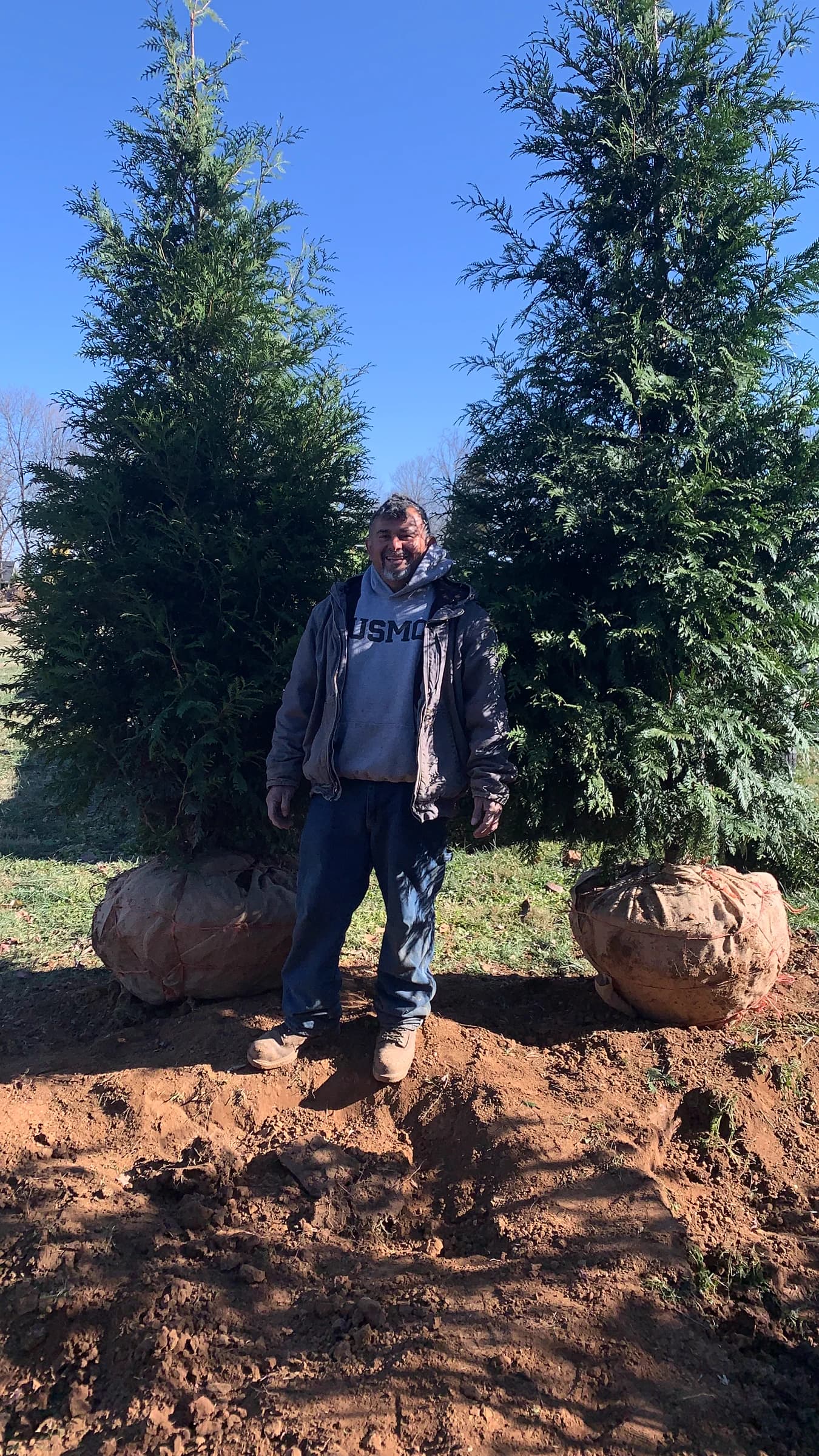 Orlando, owner of Orlando's Landscape, standing on a planting job between large evergreen trees