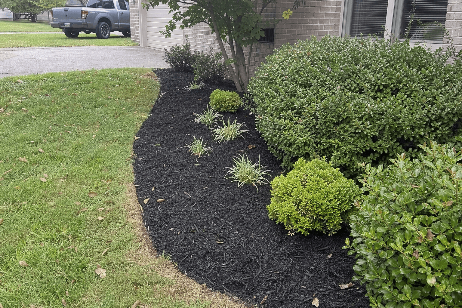 Professionally maintained residential lawn in Central Kentucky near Lexington, KY