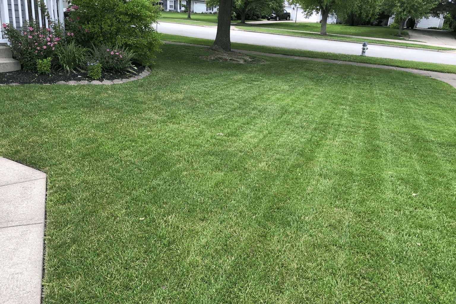 How Much Does Lawn Care Cost in Lexington, KY? (2026 Guide)