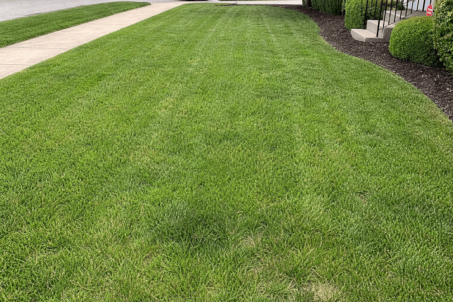 Lawn Care & Mowing